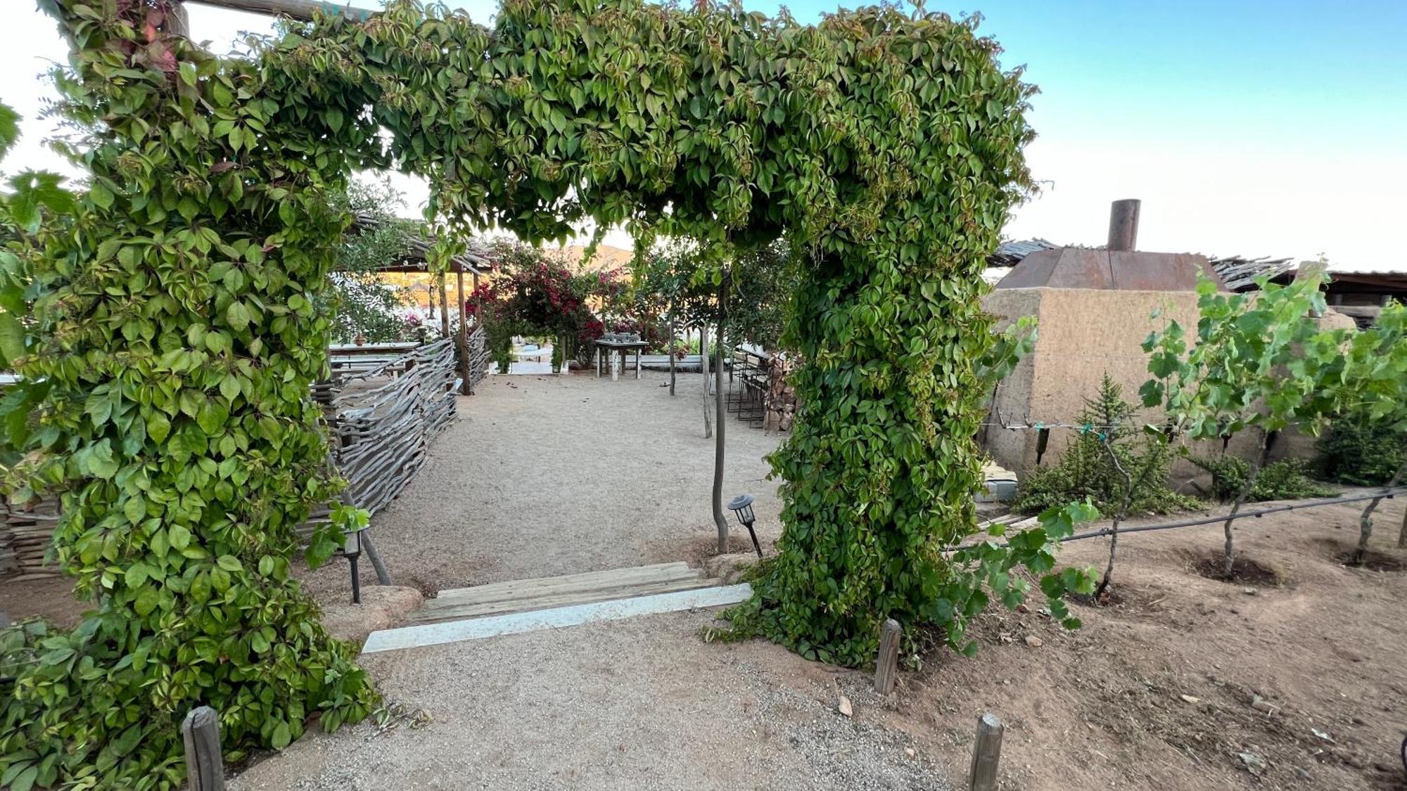 Santerra, Valle De Guadalupe Exteriér fotografie