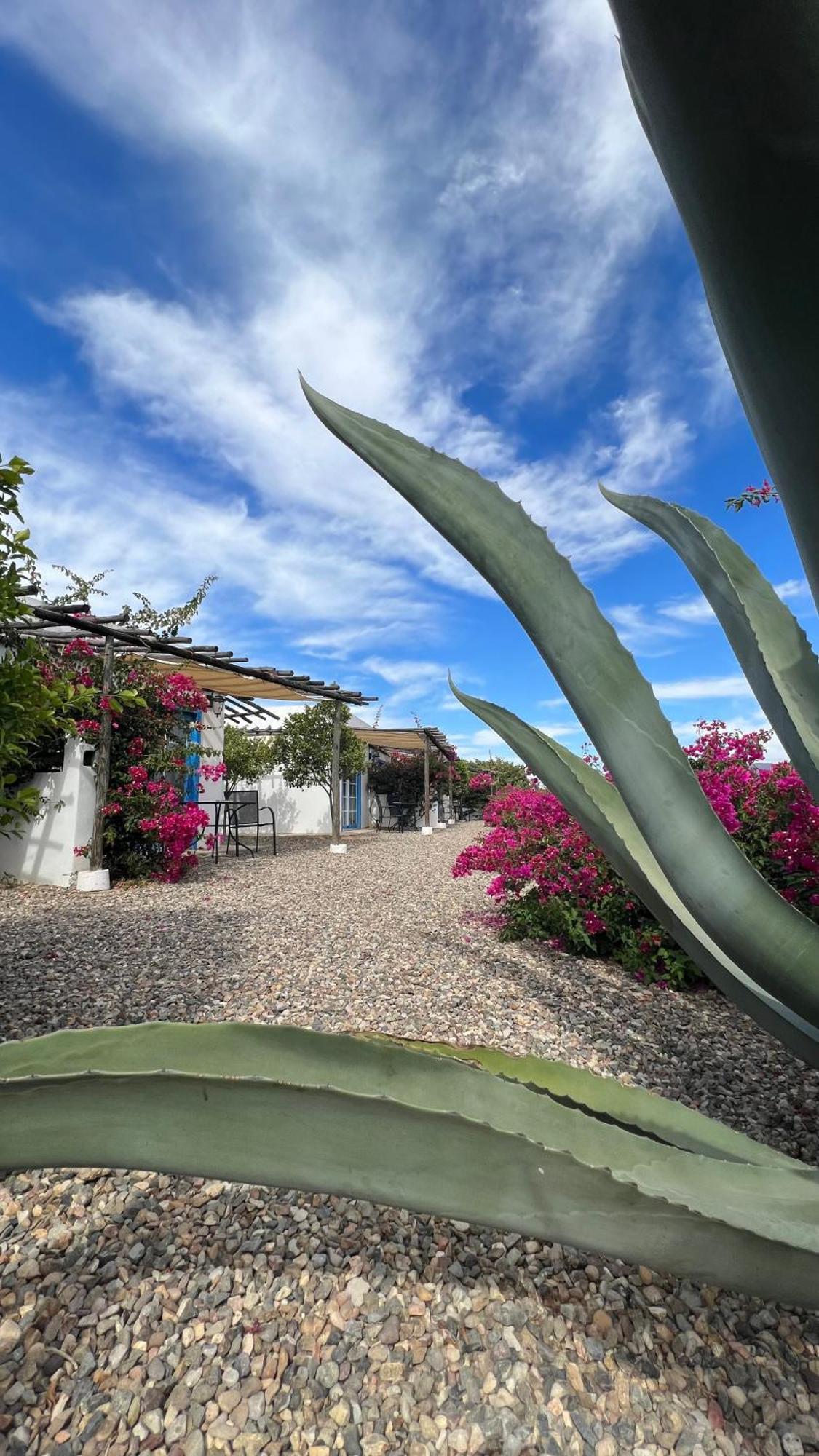 Santerra, Valle De Guadalupe Exteriér fotografie